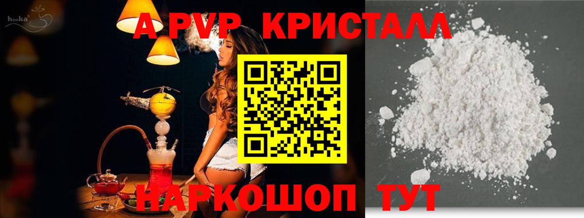 Alfa_PVP СК КРИС Сунжа