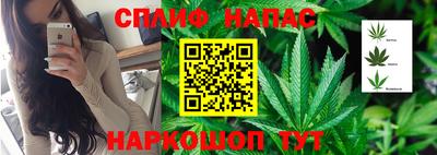 эйфоретик Пенза