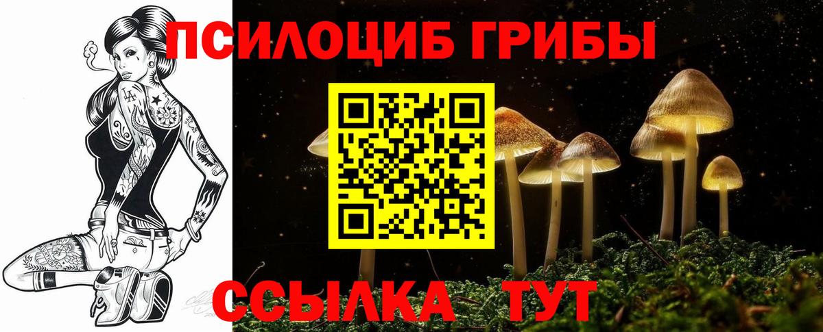 Псилоцибиновые грибы ЛСД Сунжа